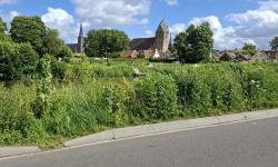 Featured image of post De omloop van Bedum