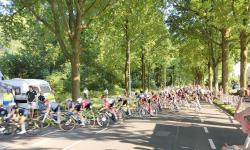 Featured image of post NK Wielrennen 2026, Oosterwolde