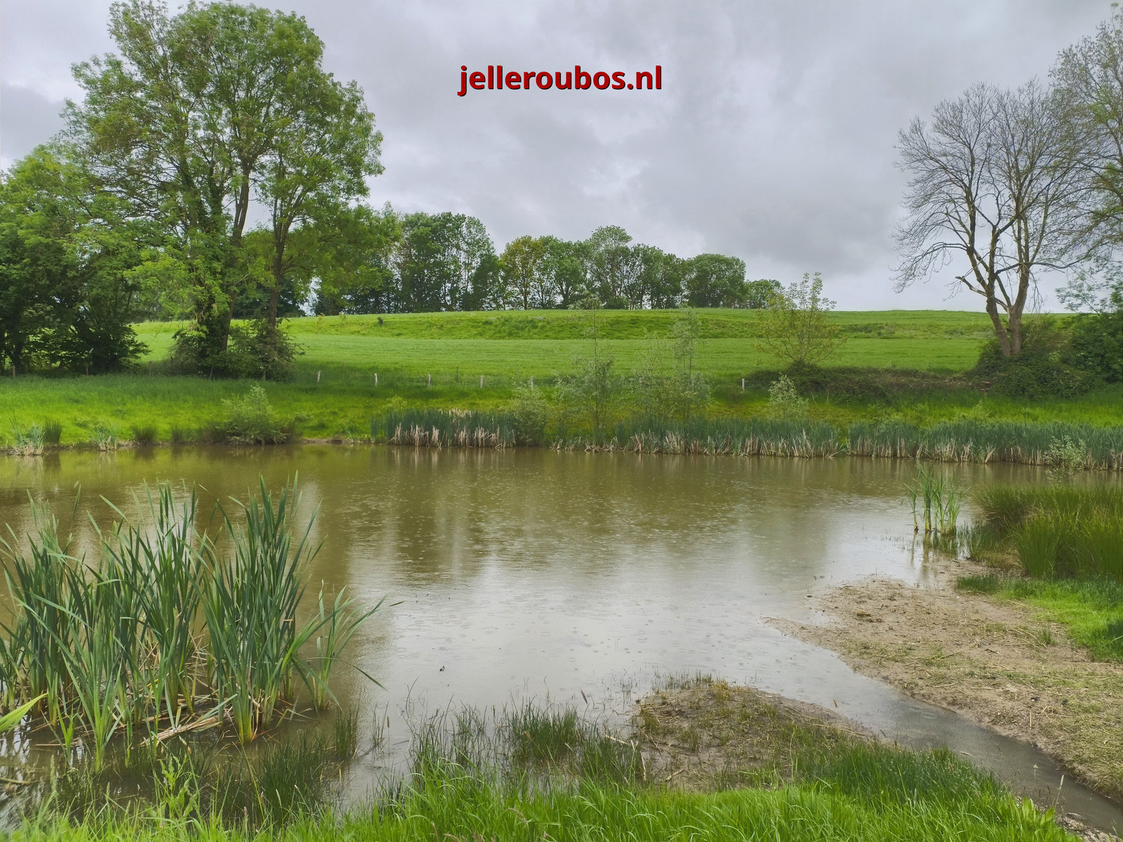 Ook op zondag een beetje regen