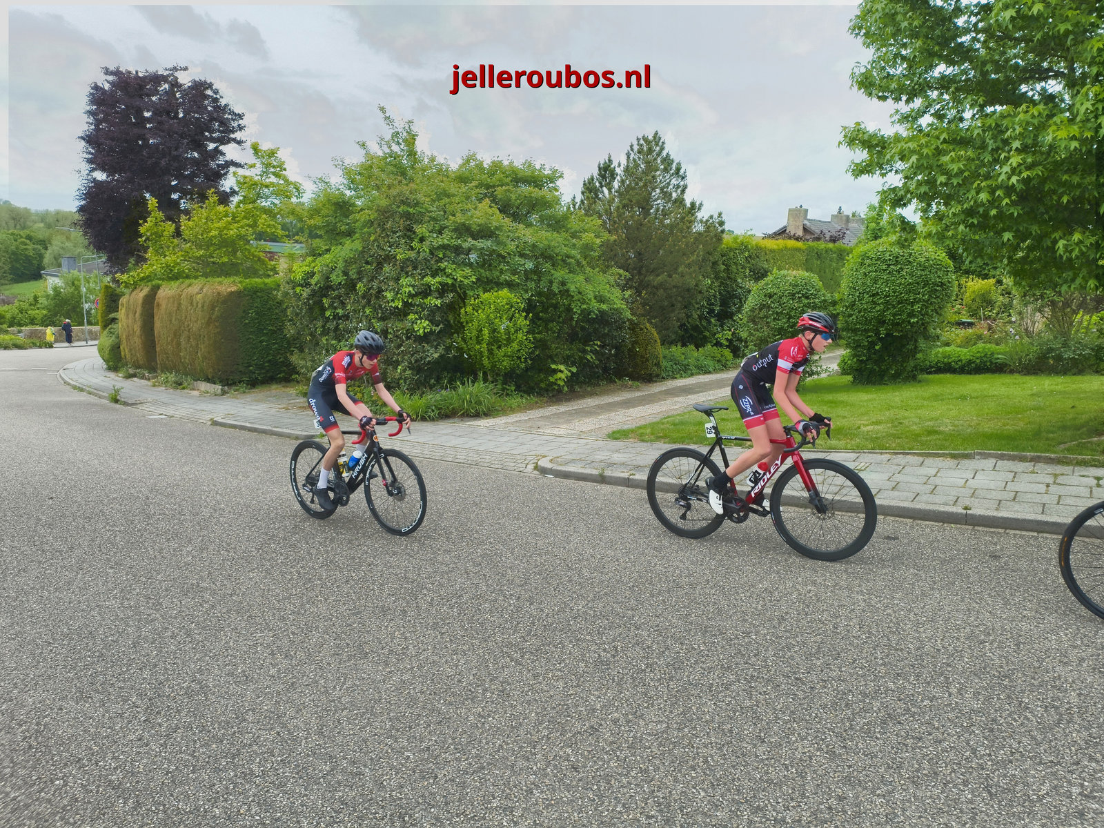 altijd goed als een prooi voor je rijdt